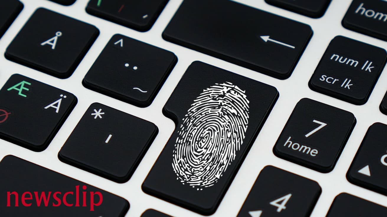 The role of data, information and insights in your brand strategy